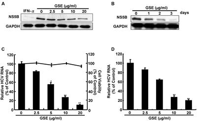 Grape Seed Extract Attenuates Hepatitis C Virus Replication and Virus-Induced Inflammation